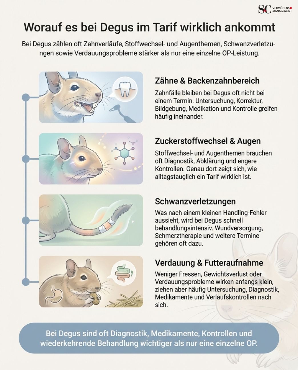 Infografik zu wichtigen Tarifbausteinen bei Degus mit Fokus auf Zahnbehandlung, Stoffwechsel, Augen, Schwanzverletzungen und Verdauungsprobleme